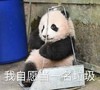 萌宠 熊猫 我自愿当一名垃圾 我傻了 搞怪 逗