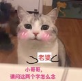 猫咪 老婆 小哥哥 请问这两个字怎么念