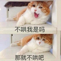 猫咪 可爱 呆萌 斗图 不哄我是吗 那就不哄吧