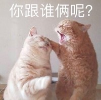 萌宠 猫星人 你跟谁俩呢 生气 呆萌 可爱