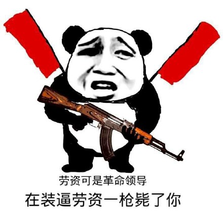 熊猫头 劳资 革命领导 再装逼 毙了你 斗图 搞笑 猥琐