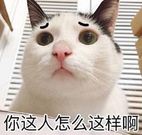 猫咪 大眼睛 白毛 你这人怎么这样啊