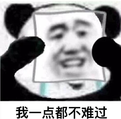 熊猫头 沙雕 双重人格 我没事啊 蠢萌