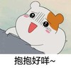 抱抱 祈求 可爱 小仓鼠