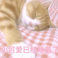 斗图 猫咪 小可爱已经睡着了
