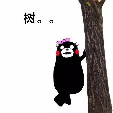 熊本熊 可爱 路痴女友 树
