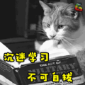 猫 萌宠 可爱 soogif soogif出品 沉迷学习 不可自拔