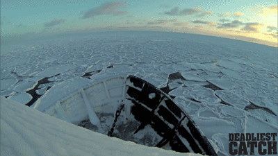 浮冰 船 南极 游动 寒冷 ice nature