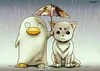 下雨 撑伞 坐等 企鹅 可爱