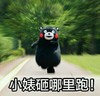 熊本熊 小婊砸 搞笑 可爱