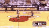观众 篮球 NBA 詹姆斯