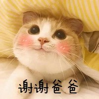 猫咪 脸红 可爱 谢谢爸爸