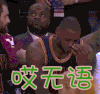 哎无语 詹姆斯