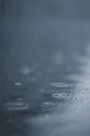 Cinemagraph 湖水 雨滴 风景