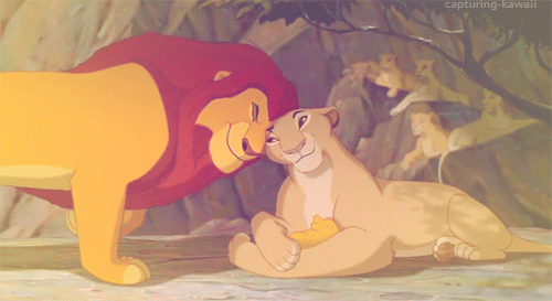狮子王   可爱  毛茸茸   父子  宝宝   温情