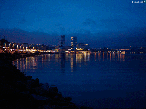 都市 夜景 湖水
