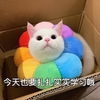 萌宠 猫星人 今天也要扎扎实实学习哦 好好学习 呆萌 可爱