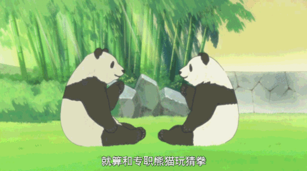 熊猫 猜拳 可爱 动画 竹子