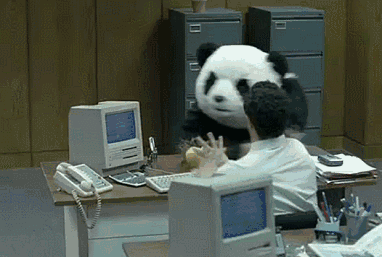 熊猫 搞笑 上班 可爱