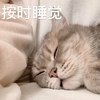 萌宠 喵星人 按时睡觉 养成早睡的好习惯 可爱 憨憨