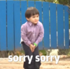 本特利 萌娃 sorry sorry 可爱 搞笑 逗