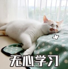 等放假 国庆节 可爱 文字表情包 喵星人