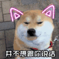 soogif soogif出品 狗 并不想跟你说话