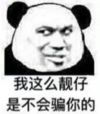 暴漫 文字表情包 我这么靓仔是不会骗你的 搞笑 逗 沙雕