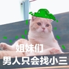 萌宠 喵星人 姐妹们 男人只会找小三 呆萌 搞怪