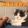 勉强 达成共识 猫