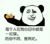 坨坨 恶心 斗图 猥琐