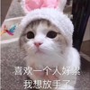 萌宠 猫星人 喜欢一个人好累 我想放手了 呆萌 可爱
