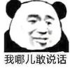 熊猫头 恶搞 雷人 斗图 搞笑 我那儿敢说话
