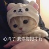 萌宠 猫星人 心冷了 要你抱抱才行 呆萌 可爱