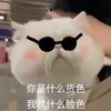 萌宠 猫星人 你是什么货色 我就是什么脸色 呆萌 可爱