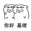 金馆长 坏笑 逗比 你好基佬