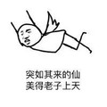 如其来突 翅膀 飞行 突如其来的仙美得老子上天