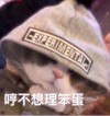 猫咪 帽子 萌宠 哼不想理笨蛋