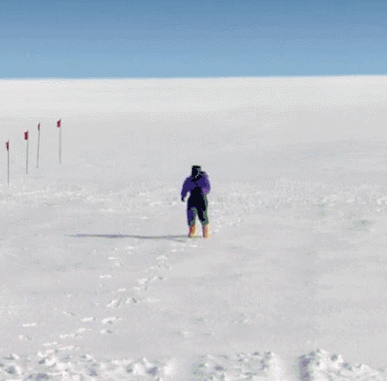 南极料理人 摔倒 奔跑 雪地