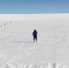 南极料理人 摔倒 奔跑 雪地