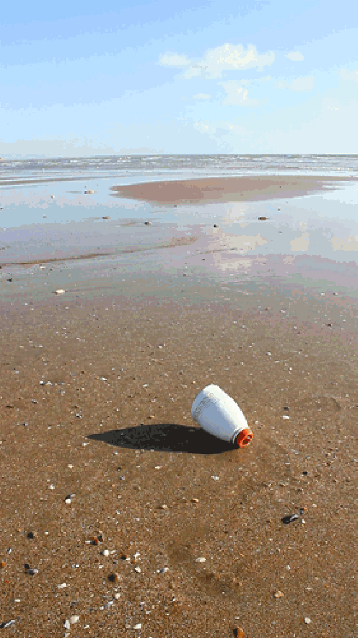 风景 沙滩 白鸟 孤独