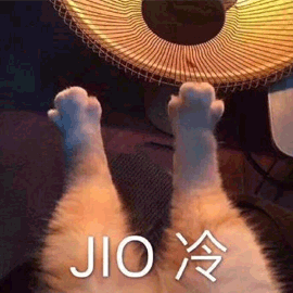 萌寵 貓 貓咪 喵星人 腳 jio 冷