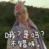 东成西就 是吗 摇头 不错哦