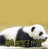 发生了什么 懵逼 蒙圈