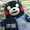 熊本熊 可爱 卖萌 次饭了吗