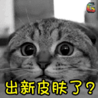 猫 萌宠 可爱 soogif soogif出品 出新皮肤了？