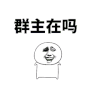 群主在吗 金馆长 砖头 特效
