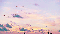 大海 天空 海鸥 景色