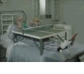 打乒乓球 老人 有智慧 病人