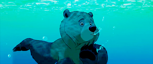 游泳    熊熊    气泡